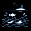 海で遊ぶ